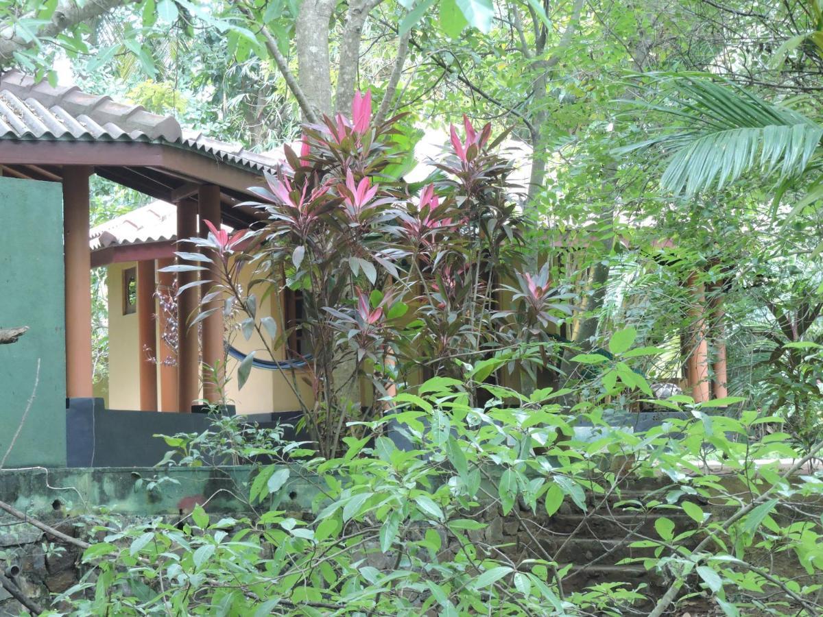Richards Cabanas Tissamaharama Luaran gambar
