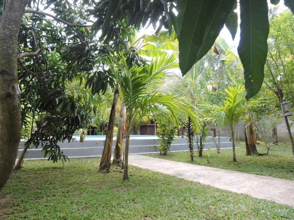 Richards Cabanas Tissamaharama Luaran gambar